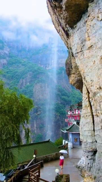 小汪汪