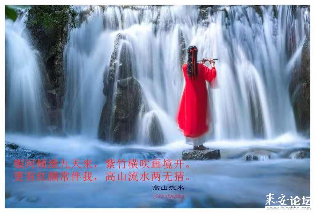 小兔子大冒险